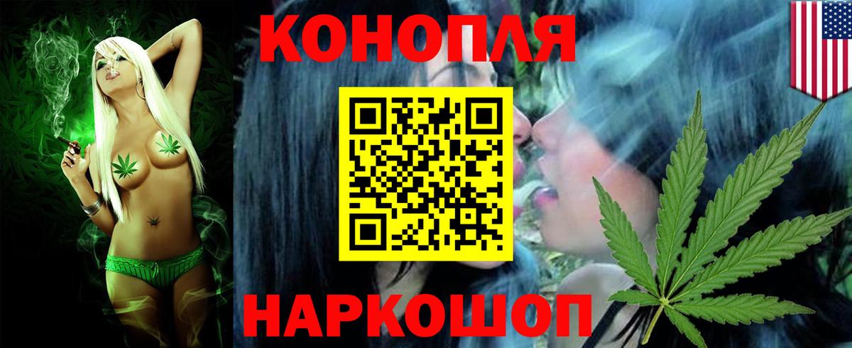 Бошки Шишки планчик Донецк