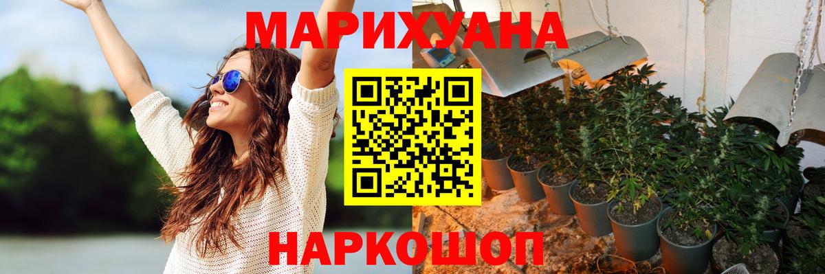 Бошки Шишки семена  Бошки марихуана конопля  Донецк  Бошки марихуана ГИДРОПОН  Вход с VPN 